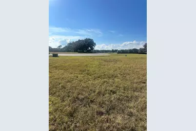 38553 Wooded Meadow Drive, Umatilla, FL 32784 - Photo 5