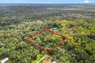 Tbd SW 35th Dr, Webster, FL 33597 - Photo 1