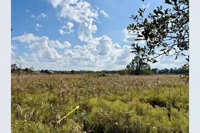 Lot 9 Fort Christmas Road, Christmas, FL 32709 - Photo 29
