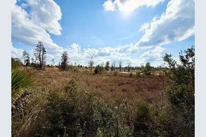 Lot 9 Fort Christmas Road, Christmas, FL 32709 - Photo 33