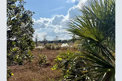 Lot 9 Fort Christmas Road, Christmas, FL 32709 - Photo 23