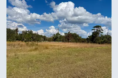 Lot 9 Fort Christmas Road, Christmas, FL 32709 - Photo 25