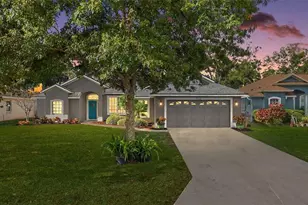 2113 Wolf Ridge Ln, Mount Dora, FL 32757 - Photo 1