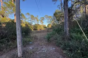 28710 Co Rd 42, Paisley, FL 32767 - Photo 7