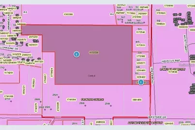 Thomas Avenue, Leesburg, FL 34748 - Photo 3