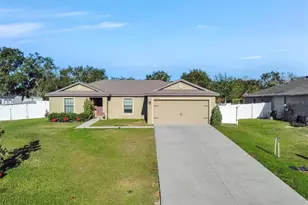 35729 Rose Moss Ave, Leesburg, FL 34788 - Photo 41