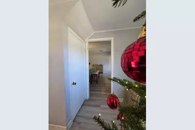 811 N Disston Avenue, Tavares, FL 32778 - Photo 17