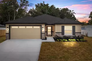 225 Hillside Ave, Umatilla, FL 32784 - Photo 1