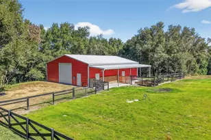 6553 Clayton St, Mount Dora, FL 32757 - Photo 45