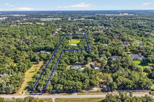 6553 Clayton St, Mount Dora, FL 32757 - Photo 63