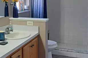 33809 Silver Pine Dr, Leesburg, FL 34788 - Photo 13