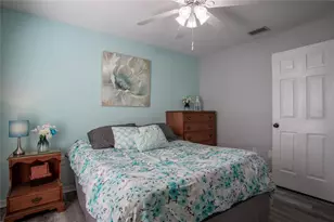 33809 Silver Pine Dr, Leesburg, FL 34788 - Photo 19