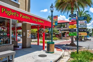 100 S Tremain St, Mount Dora, FL 32757 - Photo 39