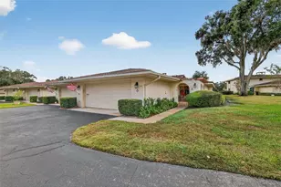 100 S Tremain St, Mount Dora, FL 32757 - Photo 43