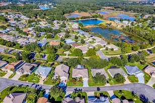 24018 Robinwood St, Leesburg, FL 34748 - Photo 63