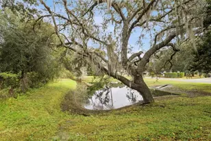 26320 Evert St, Leesburg, FL 34748 - Photo 25