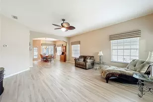 3425 Mt Hope Loop, Leesburg, FL 34748 - Photo 3