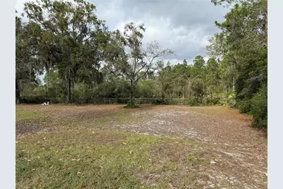 18104 NE 143rd Avenue, Waldo, FL 32694 - Photo 9