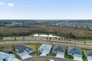 4176 Widmann Pl, The Villages, FL 32163 - Photo 51