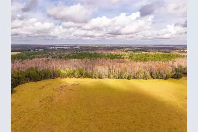 Line Block Road, Clermont, FL 34714 - Photo 15