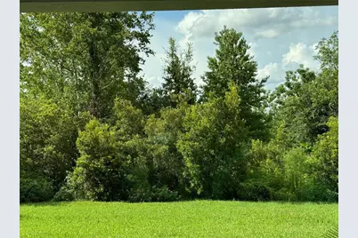 5008 NE 125th Loop, Oxford, FL 34484 - Photo 51