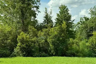 5008 NE 125th Loop, Oxford, FL 34484 - Photo 51