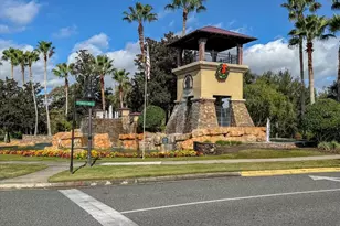 2943 Etowah Park Blvd, Tavares, FL 32778 - Photo 55