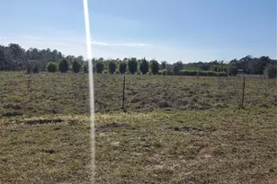 2926 Sharon Rd, Groveland, FL 34736 - Photo 13