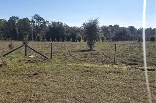 2926 Sharon Rd, Groveland, FL 34736 - Photo 3