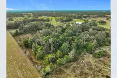 County Road 209, Oxford, FL 34484 - Photo 9