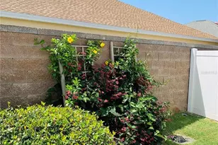 3242 Evanside Ln, The Villages, FL 32163 - Photo 37