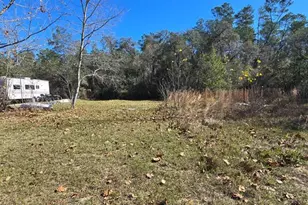 14157 SE 209th Terrace, Umatilla, FL 32784 - Photo 1