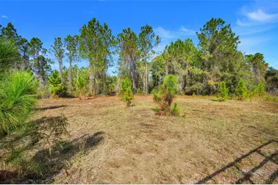 Youth Camp Road, Groveland, FL 34736 - Photo 3