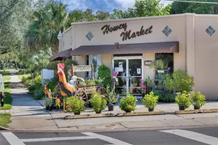 120 E Croton Way, Howey in the Hills, FL 34737 - Photo 35