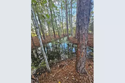 29723 Fullerville Road, Deland, FL 32720 - Photo 51