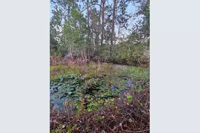 29723 Fullerville Road, Deland, FL 32720 - Photo 55