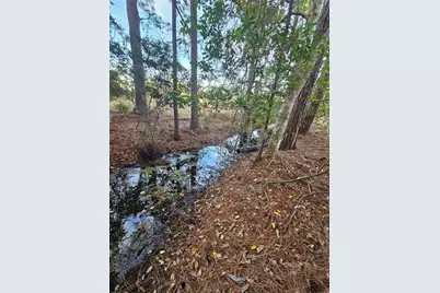 29723 Fullerville Road, Deland, FL 32720 - Photo 49