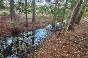 29723 Fullerville Rd, Deland, FL 32720 - Photo 49