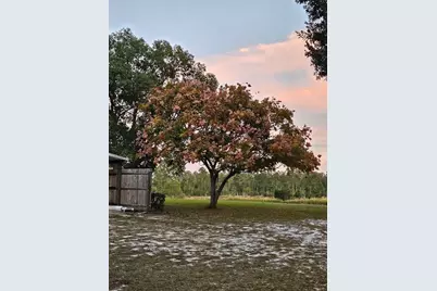 29723 Fullerville Road, Deland, FL 32720 - Photo 39