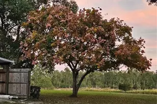 29723 Fullerville Rd, Deland, FL 32720 - Photo 39