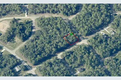 517 E Nemo Drive, Citrus Springs, FL 34434 - Photo 5