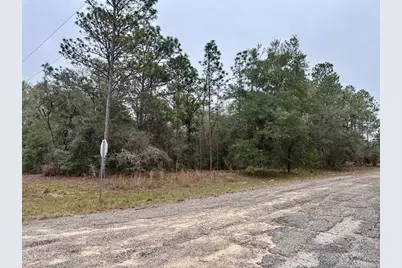 517 E Nemo Drive, Citrus Springs, FL 34434 - Photo 1