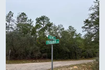 517 E Nemo Drive, Citrus Springs, FL 34434 - Photo 3