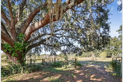 11911 Lane Park Road, Tavares, FL 32778 - Photo 23