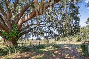 11911 Lane Park Rd, Tavares, FL 32778 - Photo 23