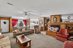 11911 Lane Park Rd, Tavares, FL 32778 - Photo 5