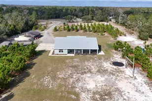 25214 Black Bear Ln, Eustis, FL 32736 - Photo 33