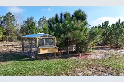 25214 Black Bear Lane, Eustis, FL 32736 - Photo 31