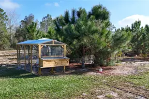 25214 Black Bear Ln, Eustis, FL 32736 - Photo 31