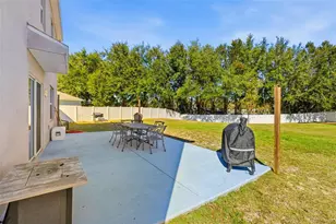 3060 Bethpage Loop, Mount Dora, FL 32757 - Photo 39